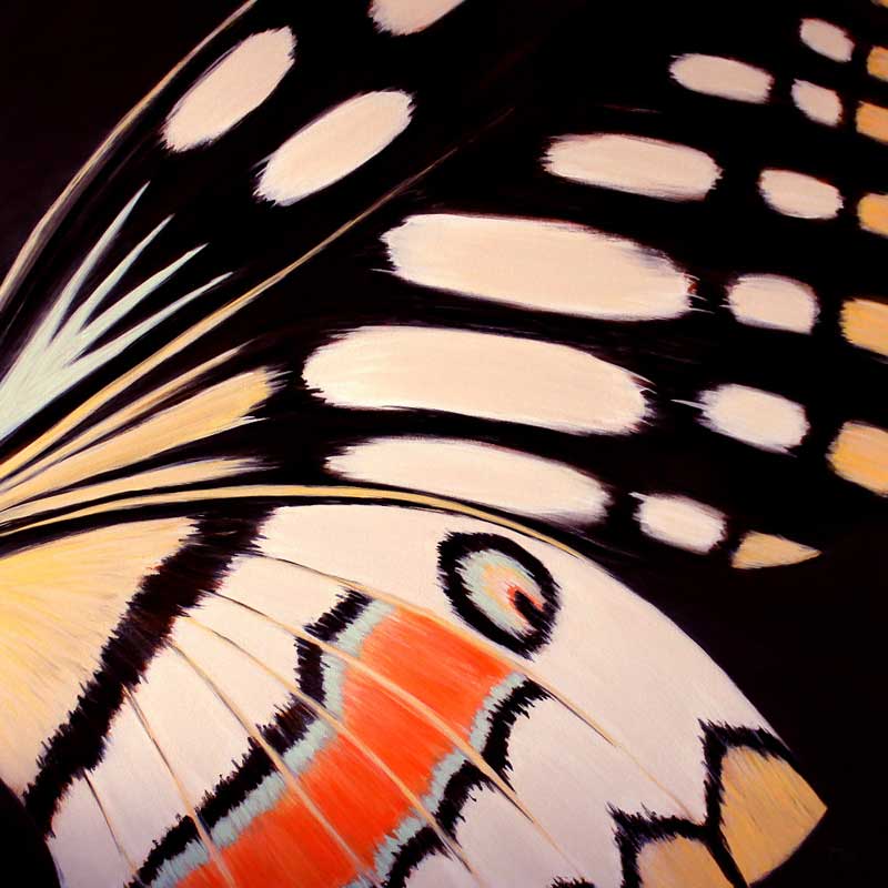 Butterfly - Art featured at Saatchi Art Gallery